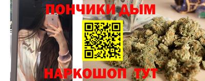 индика Кулебаки