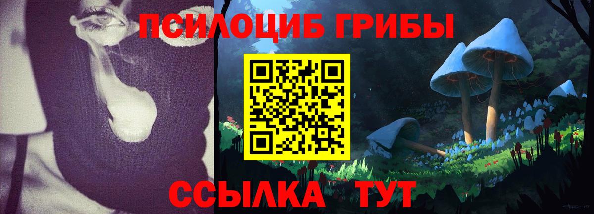 Галлюциногенные грибы Magic Shrooms Карачаевск